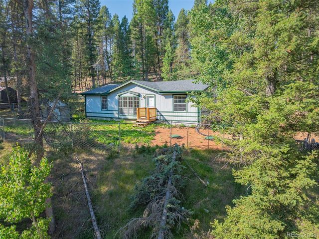 22 Silver Trail, Florissant, CO 80816