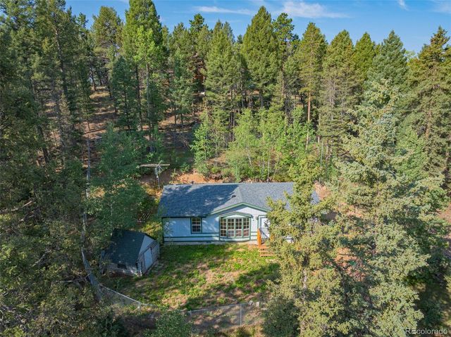 22 Silver Trail, Florissant, CO 80816