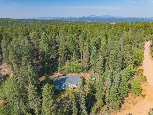 22 Silver Trail, Florissant, CO 80816