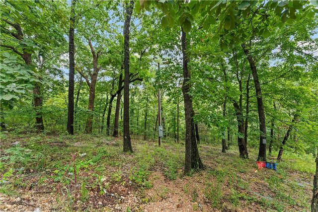 8 Cove Lane, Holiday Island, AR 72631