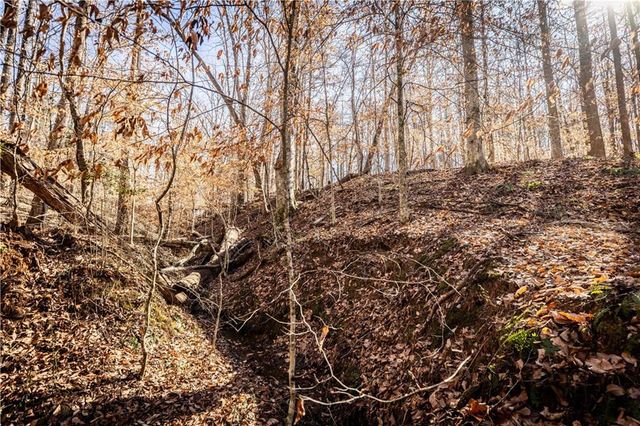 391 Marvin Land Lane, Canton, GA 30115