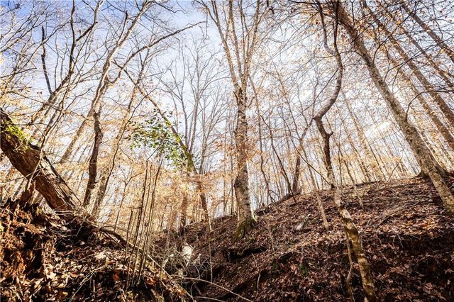 391 Marvin Land Lane, Canton, GA 30115