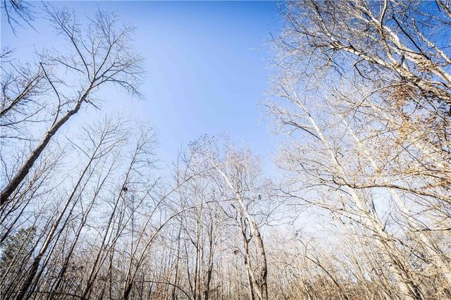 391 Marvin Land Lane, Canton, GA 30115