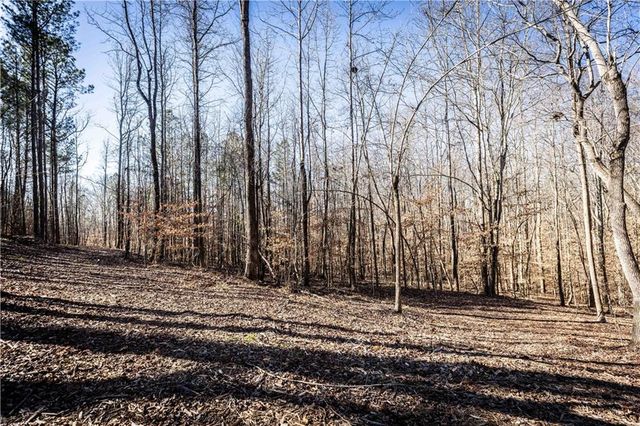 391 Marvin Land Lane, Canton, GA 30115