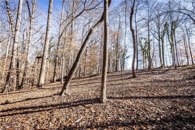 391 Marvin Land Lane, Canton, GA 30115