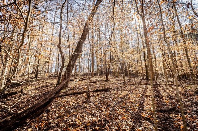 391 Marvin Land Lane, Canton, GA 30115