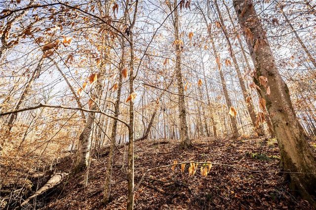 391 Marvin Land Lane, Canton, GA 30115