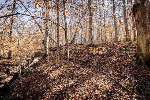 391 Marvin Land Lane, Canton, GA 30115