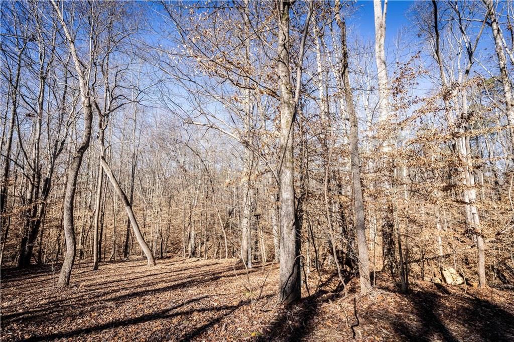 391 Marvin Land Lane, Canton, GA 30115