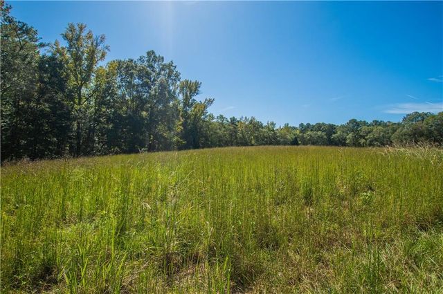 1145 Thurston Snow Road, Good Hope, GA 30641