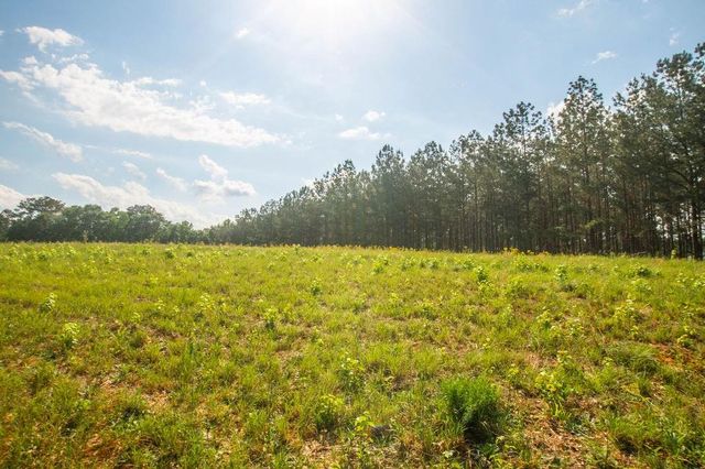 1145 Thurston Snow Road, Good Hope, GA 30641