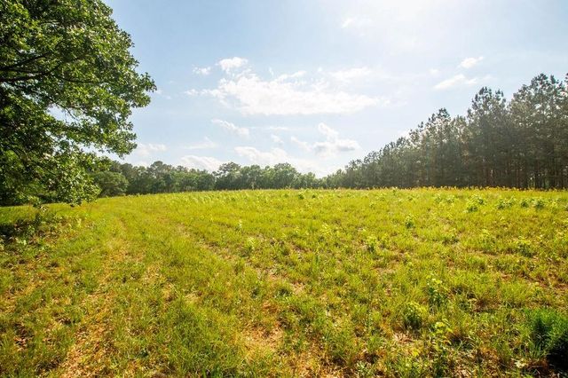 1145 Thurston Snow Road, Good Hope, GA 30641