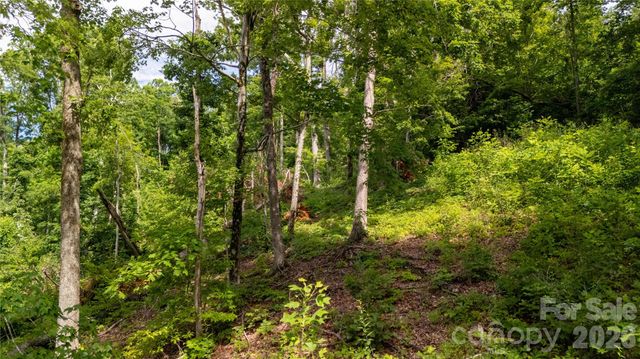 Lot 146 Shire Lane 146, Union Mills, NC 28139