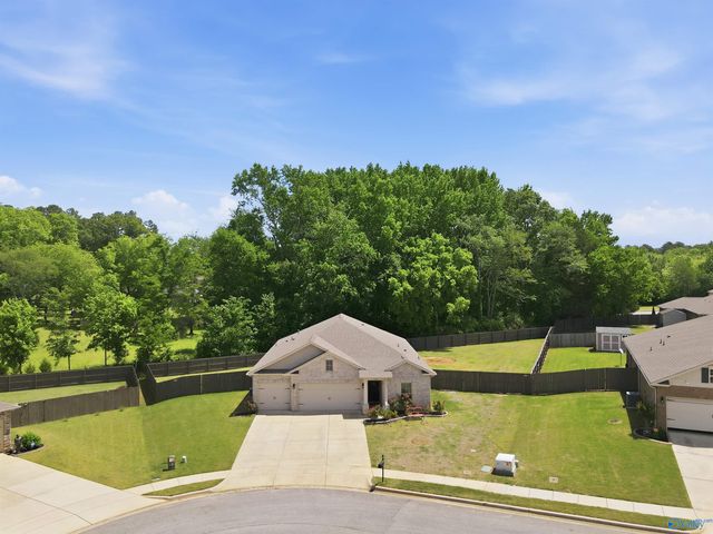 107 Rosyside Ci W Rosyside Circle, Harvest, AL 35749