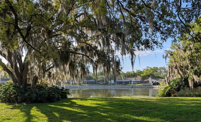 1711 MAGDALENE MANOR DRIVE, Tampa, FL 33613