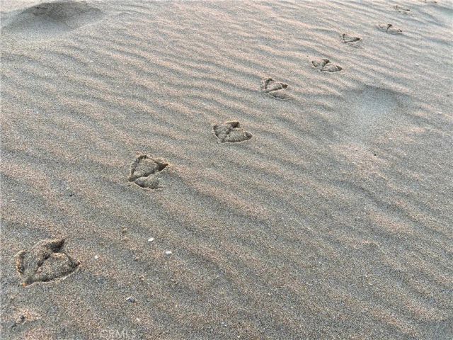 1720 W Oceanfront B, Newport Beach, CA 92663