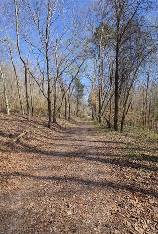 0 Douglas Bluff Ln, Stewart, TN 37175