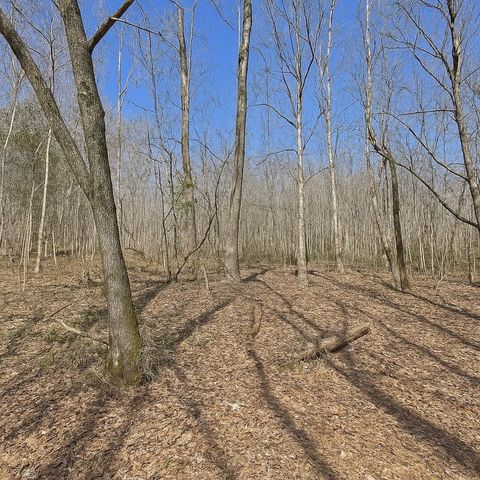 0 Douglas Bluff Ln, Stewart, TN 37175