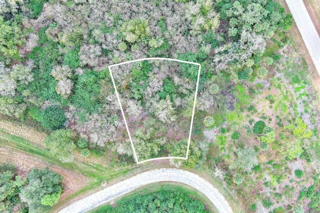 173 CAROUSEL AVE, La Belle, FL 33935