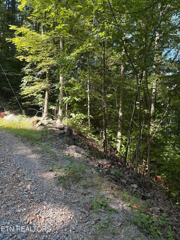 0 Castle Rise Way, Sevierville, TN 37862