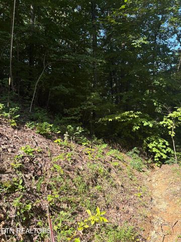 0 Castle Rise Way, Sevierville, TN 37862