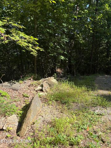 0 Castle Rise Way, Sevierville, TN 37862
