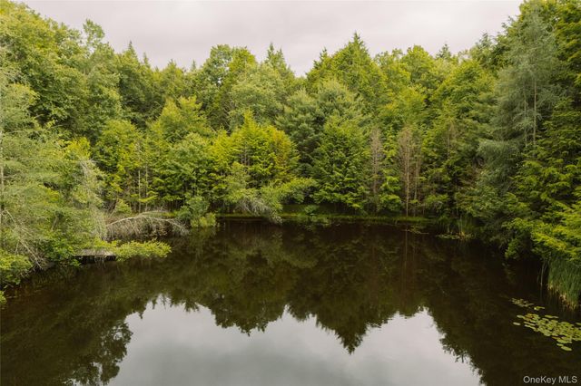 196 County Road 115, Bethel, NY 12726