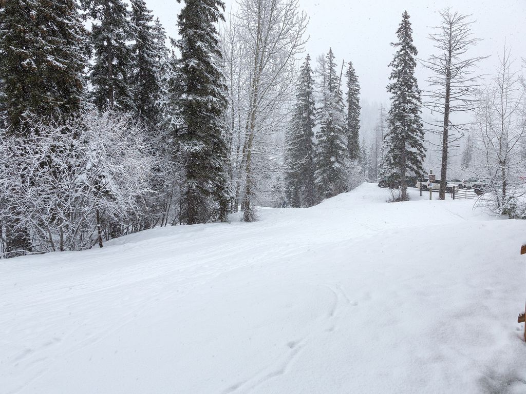 325 Moose Run Drive, Whitefish, MT 59937 photo 53