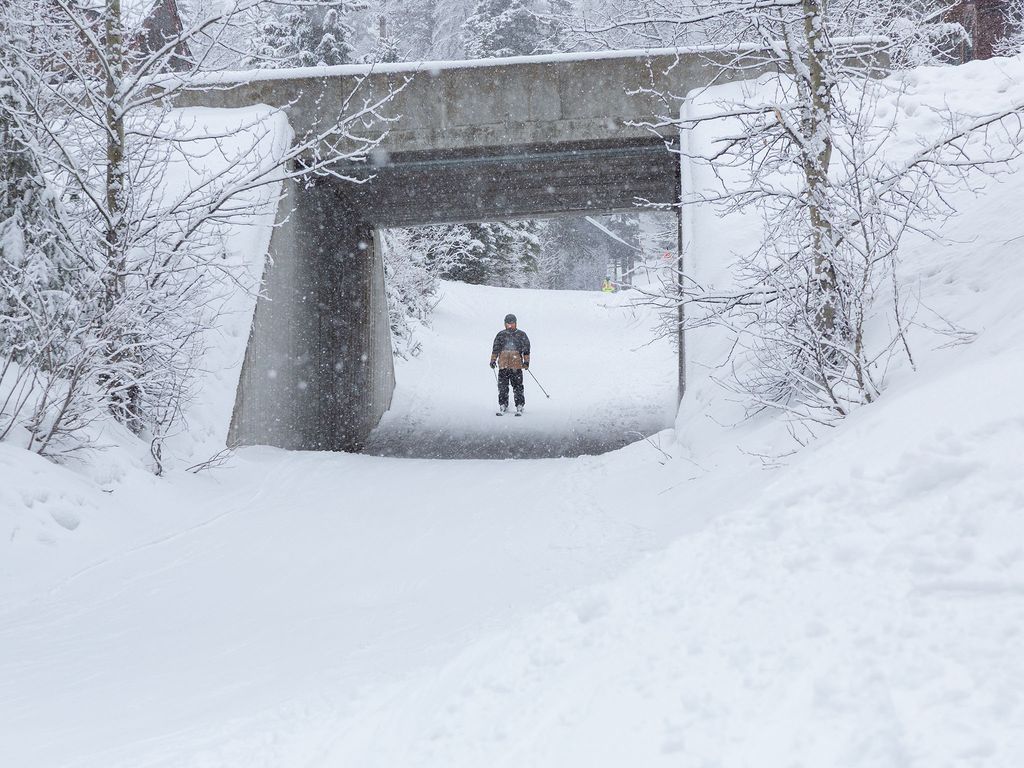 325 Moose Run Drive, Whitefish, MT 59937 photo 54