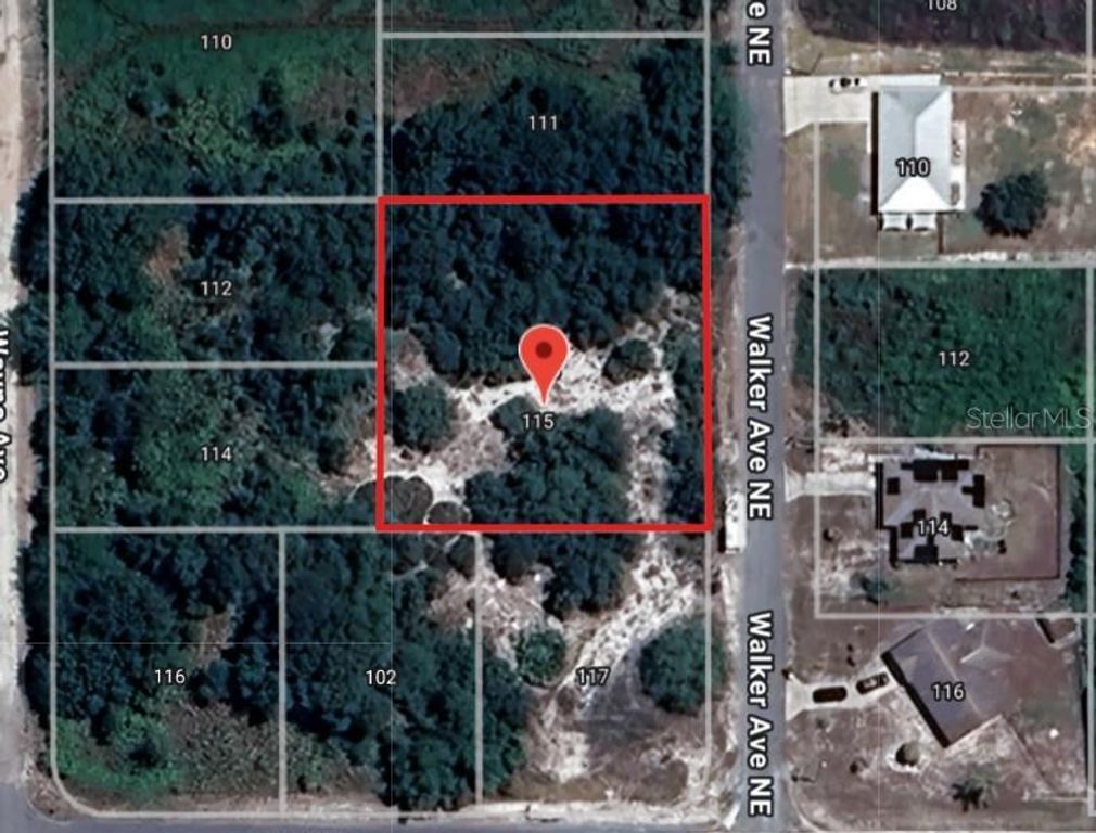 113 WALKER AVENUE NE, Lake Placid, FL 33852
