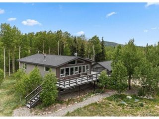 133 Gold Run Rd, Alma, CO 80440
