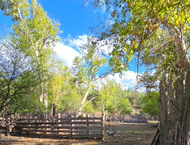 3995 W Forest Svc Rd 249 --, Young, AZ 85554