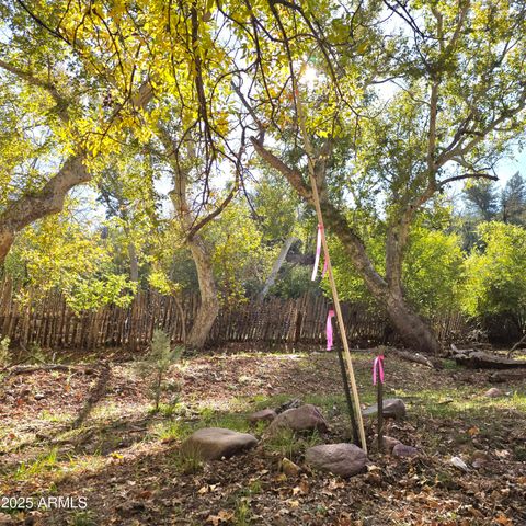 3995 W Forest Svc Rd 249 --, Young, AZ 85554