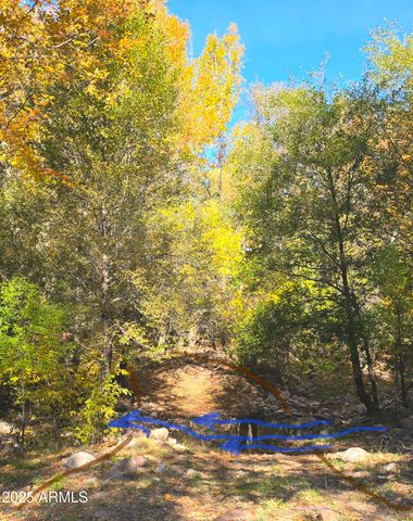 3995 W Forest Svc Rd 249 --, Young, AZ 85554