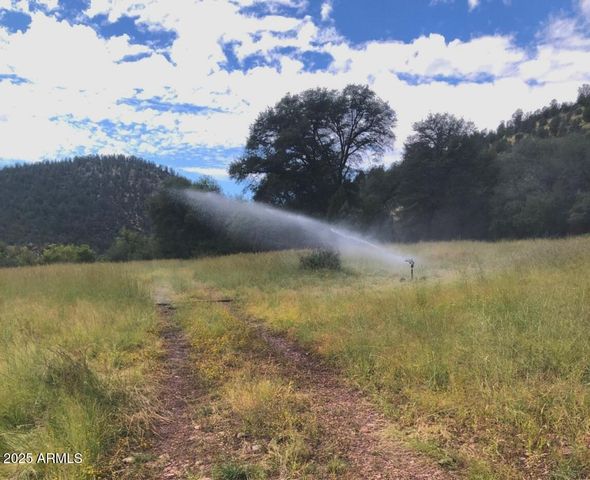 3995 W Forest Svc Rd 249 --, Young, AZ 85554