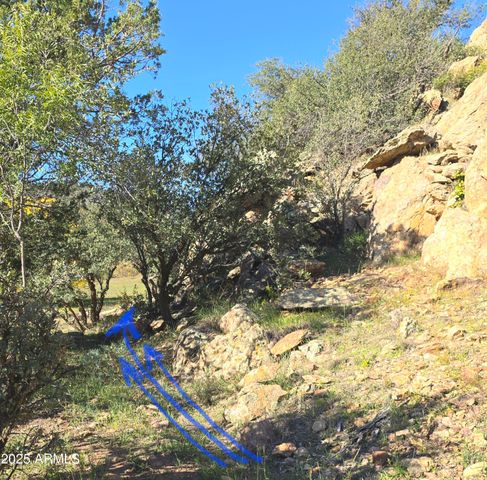 3995 W Forest Svc Rd 249 --, Young, AZ 85554