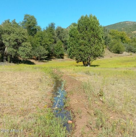 3995 W Forest Svc Rd 249 --, Young, AZ 85554