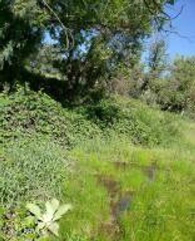 3995 W Forest Svc Rd 249 --, Young, AZ 85554