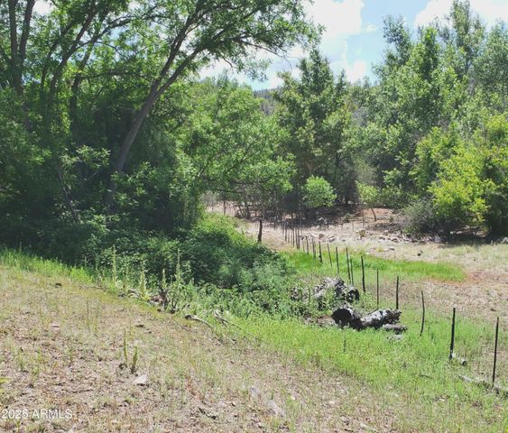 3995 W Forest Svc Rd 249 --, Young, AZ 85554