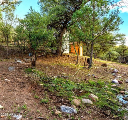 3995 W Forest Svc Rd 249 --, Young, AZ 85554