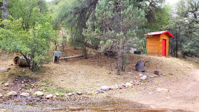 3995 W Forest Svc Rd 249 --, Young, AZ 85554