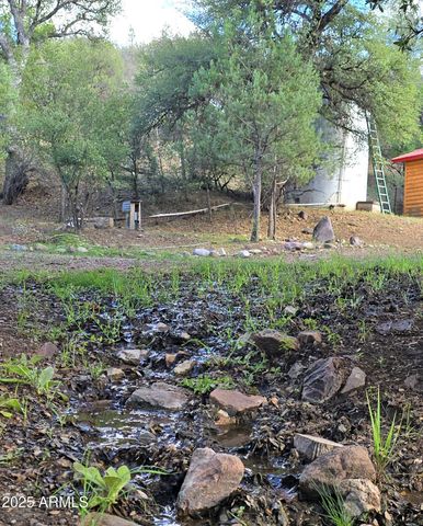 3995 W Forest Svc Rd 249 --, Young, AZ 85554