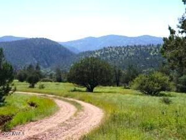 3995 W Forest Svc Rd 249 --, Young, AZ 85554
