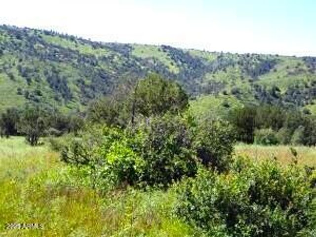 3995 W Forest Svc Rd 249 --, Young, AZ 85554