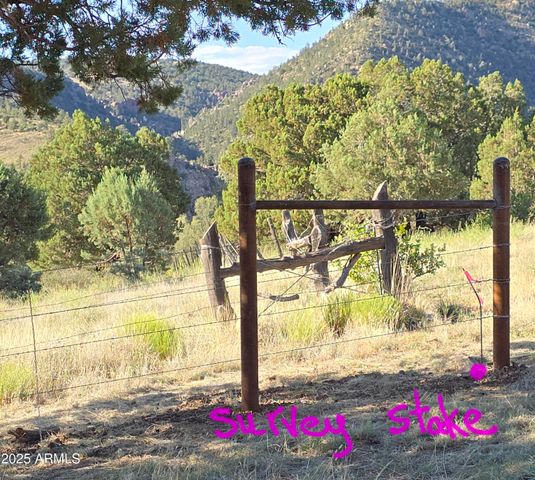 3995 W Forest Svc Rd 249 --, Young, AZ 85554