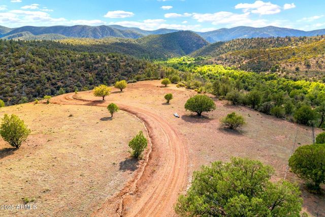 3995 W Forest Svc Rd 249 --, Young, AZ 85554