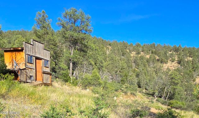 3995 W Forest Svc Rd 249 --, Young, AZ 85554