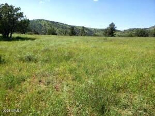3995 W Forest Svc Rd 249 --, Young, AZ 85554