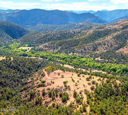 3995 W Forest Svc Rd 249 --, Young, AZ 85554