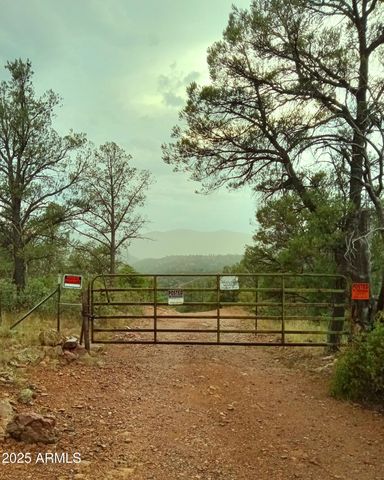 3995 W Forest Svc Rd 249 --, Young, AZ 85554